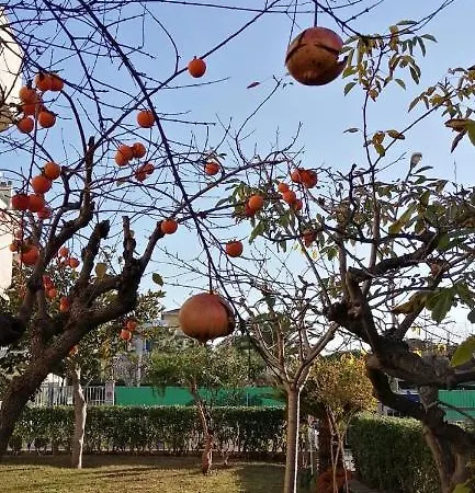 Feriehus Casa Di Checco