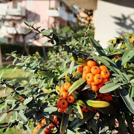 Casa Di Checco * San Benedetto del Tronto