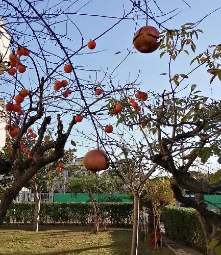 Сasa de vacaciones Casa Di Checco